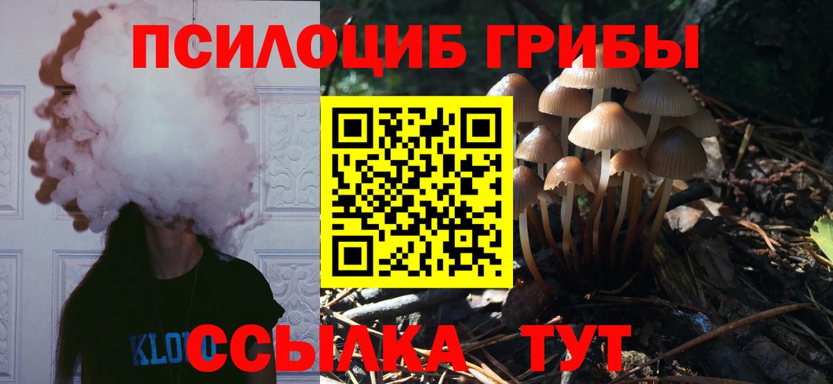 Псилоцибиновые грибы мухоморы Саяногорск